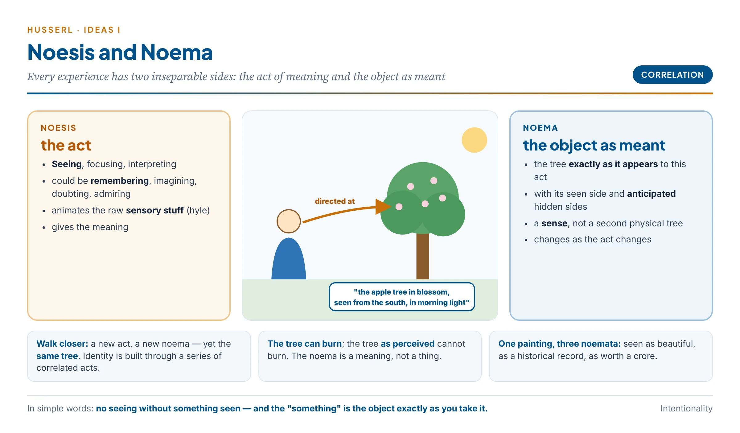 Noesis and noema: the act of seeing and the tree as seen, correlated in every experience