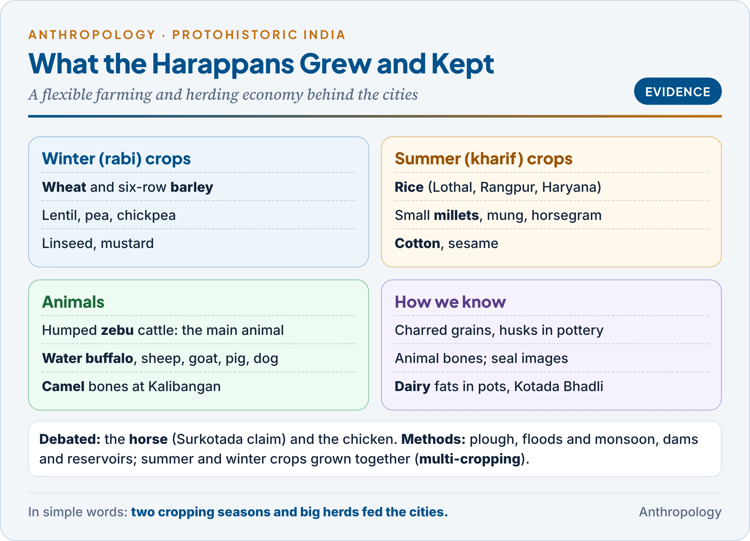 Harappan crops and animals: winter and summer crops, cotton, the dominant zebu cattle and buffalo, dairying evidence from Kotada Bhadli, the debated horse, and how farming and herding fed the cities