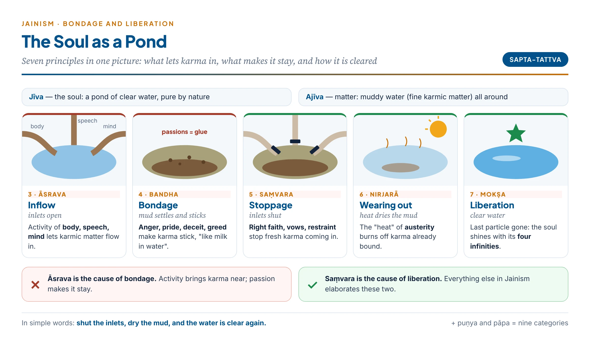 The Jaina pond: the soul is a clear pond; inlets of activity let muddy water (karma) flow in (āsrava); the mud settles because passions make it stick (bandha); closing the inlets is saṃvara, drying the mud by the heat of austerity is nirjarā, and the clear pond is mokṣa