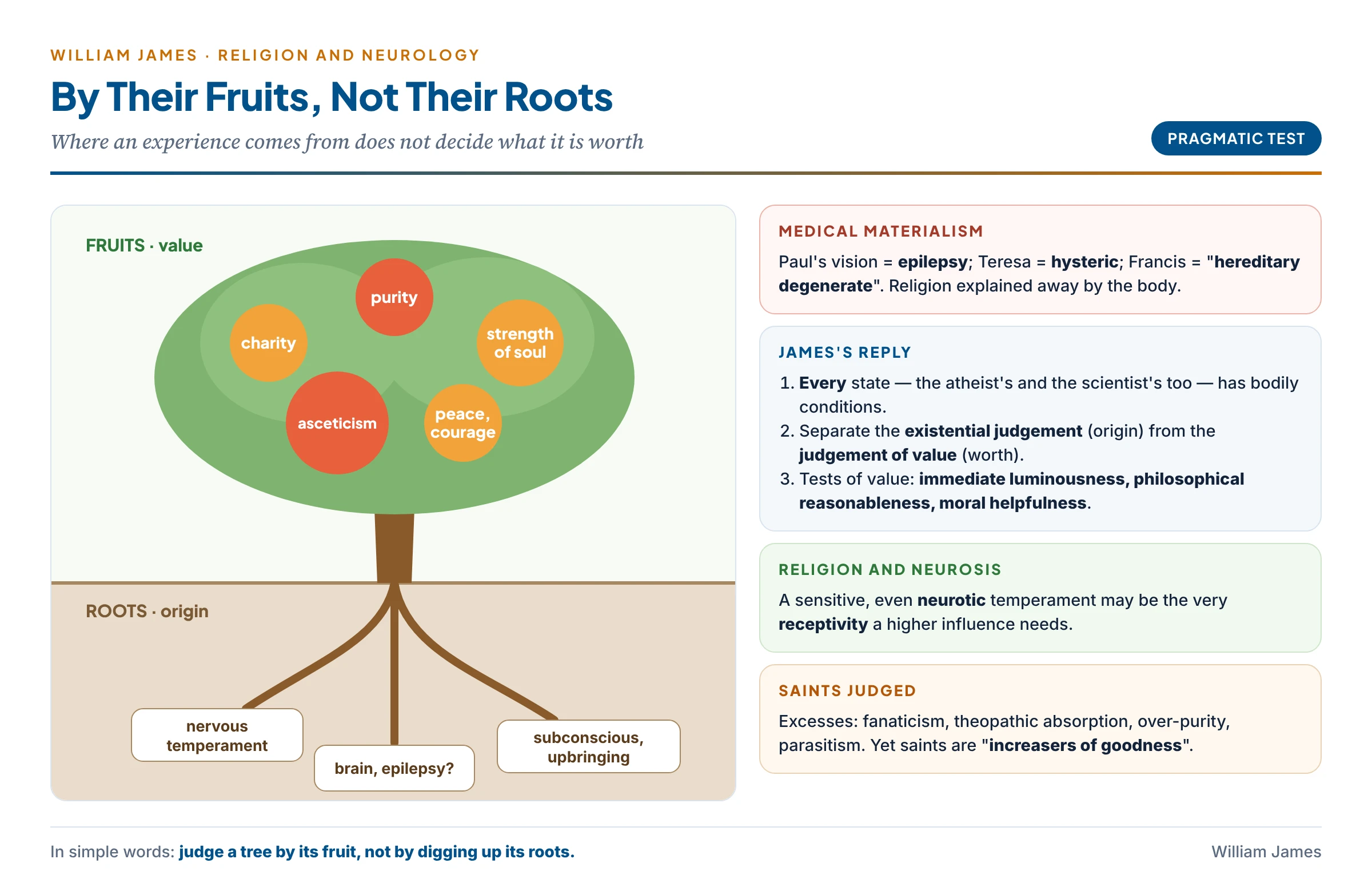 By their fruits, not their roots: a tree whose roots are labelled with the medical-materialist explanations (temperament, nerves, the brain) and whose fruits are the saintly qualities of charity, purity, strength of soul and asceticism