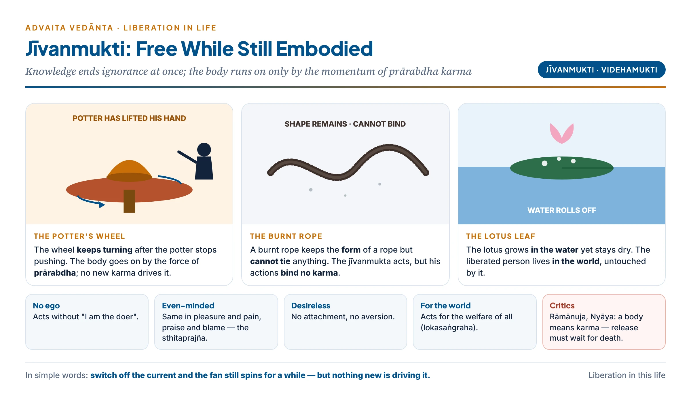Jīvanmukti: the potter's wheel spins on after the potter lifts his hand, the burnt rope keeps its shape but cannot bind, and the lotus leaf stays dry in the water