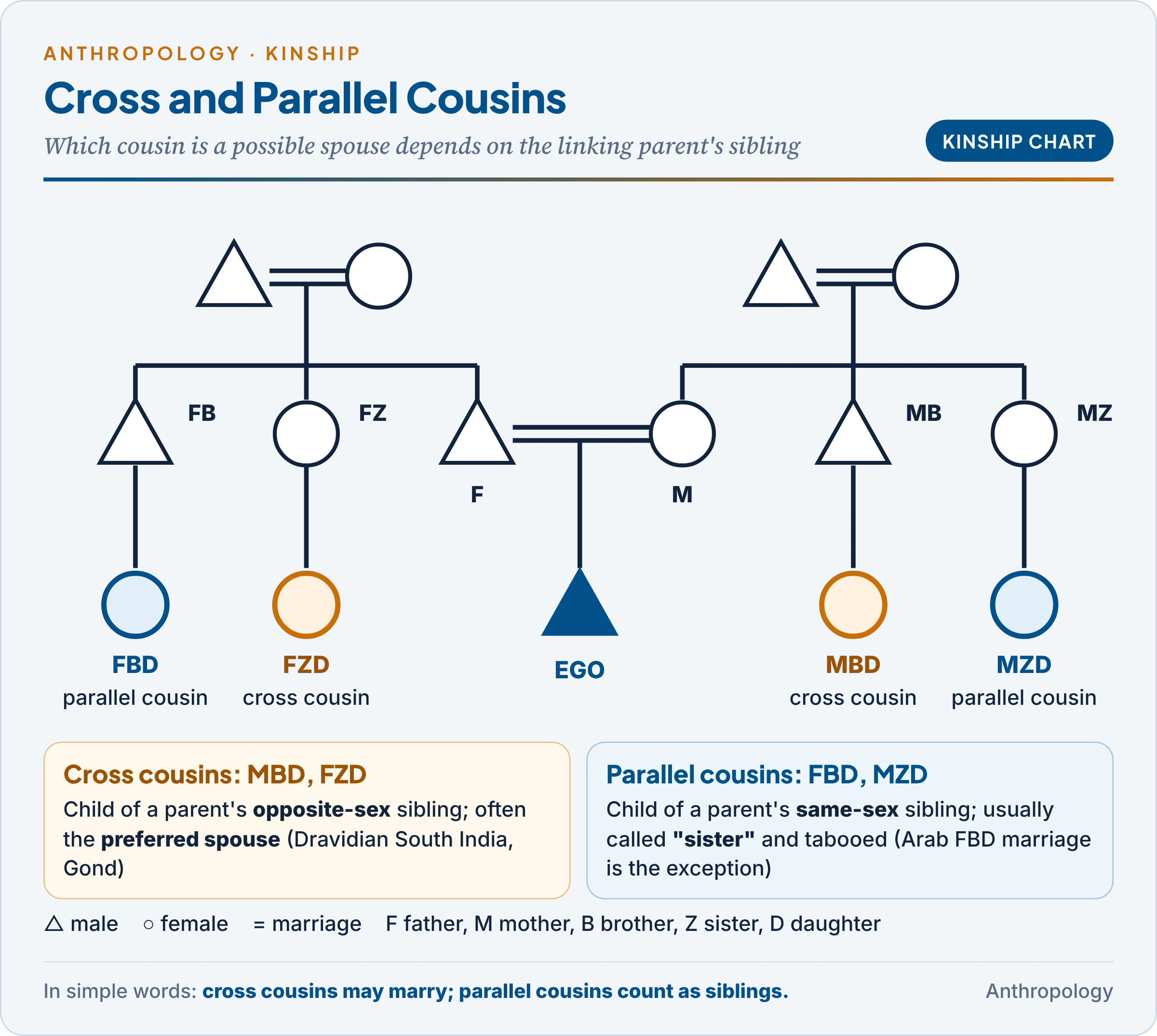 Cross and parallel cousins in a kinship chart: Ego's mother's brother's daughter (MBD) and father's sister's daughter (FZD) are cross cousins, and the father's brother's daughter (FBD) and mother's sister's daughter (MZD) are parallel cousins