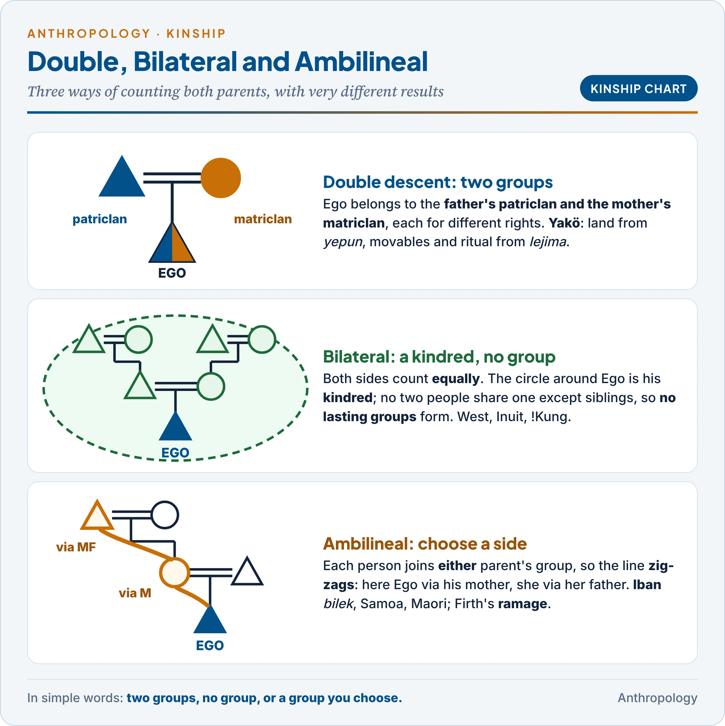 Non-unilineal and double descent compared on small kinship charts: double descent with Ego in both a patriline and a matriline, bilateral reckoning with a symmetrical kindred, and ambilineal descent with a zig-zag line of chosen affiliation