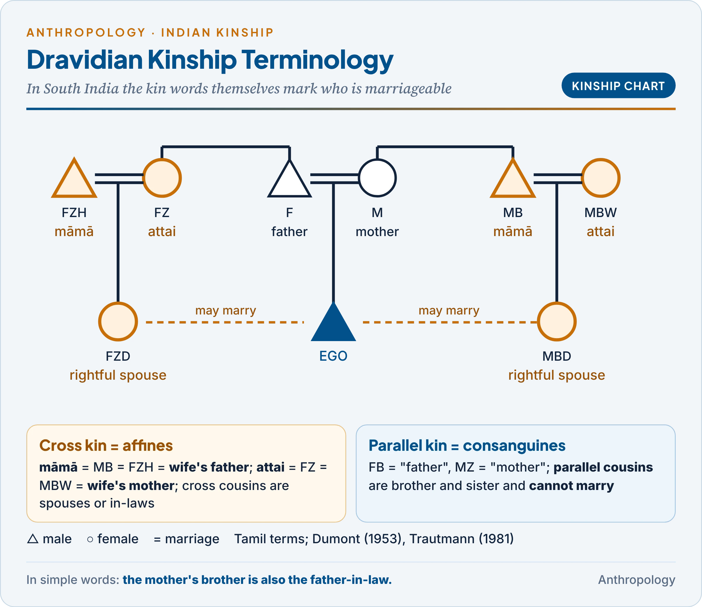 Dravidian kinship terminology on a chart: mother's brother equated with father's sister's husband and father-in-law, father's sister with mother's brother's wife and mother-in-law, and cross cousins marked as spouses while parallel cousins are siblings