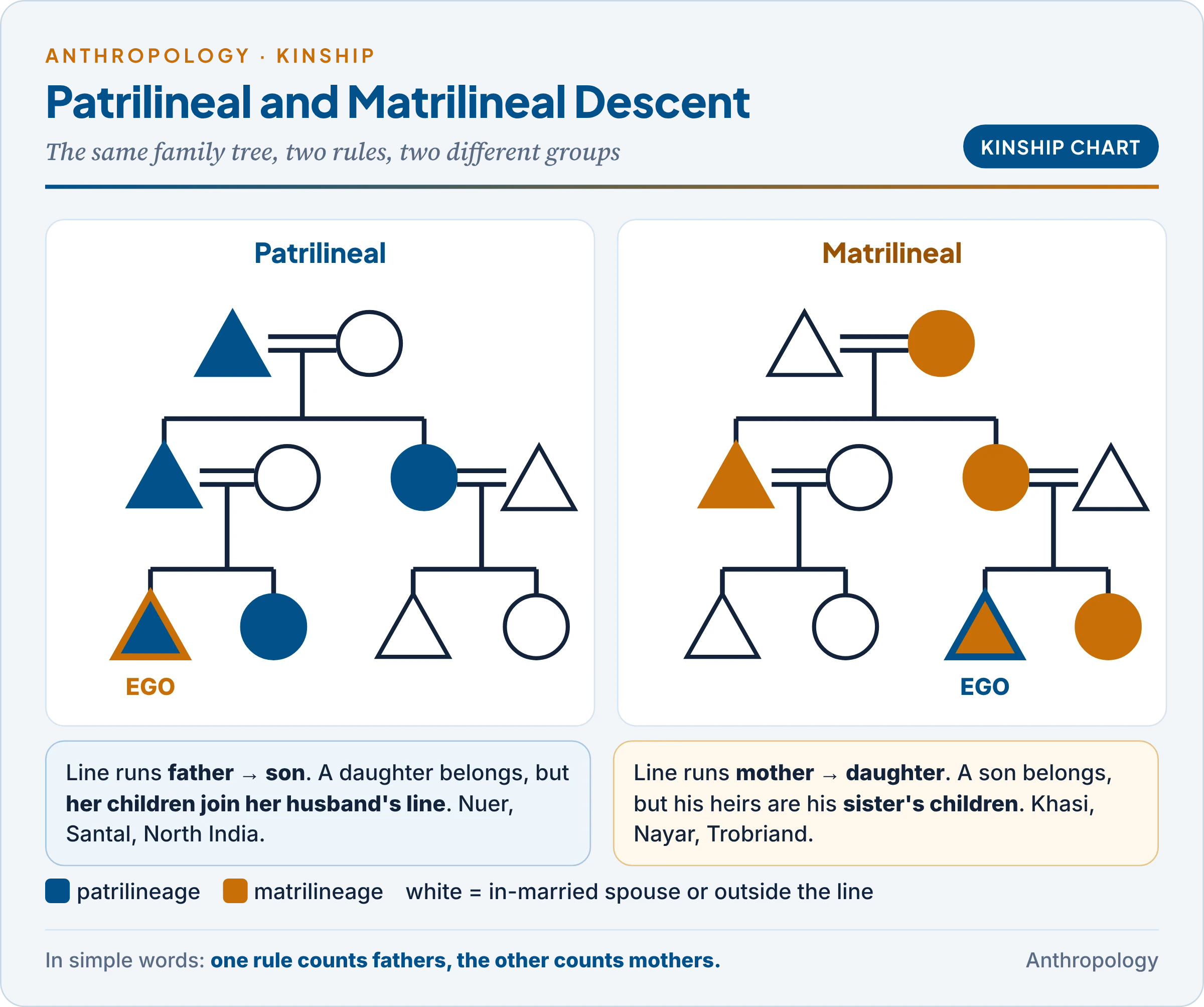 Patrilineal and matrilineal descent shown on two kinship charts, with Ego highlighted and the members of Ego's descent group shaded: in the patrilineal chart the line runs through males, in the matrilineal chart through females, and in-marrying spouses fall outside the group