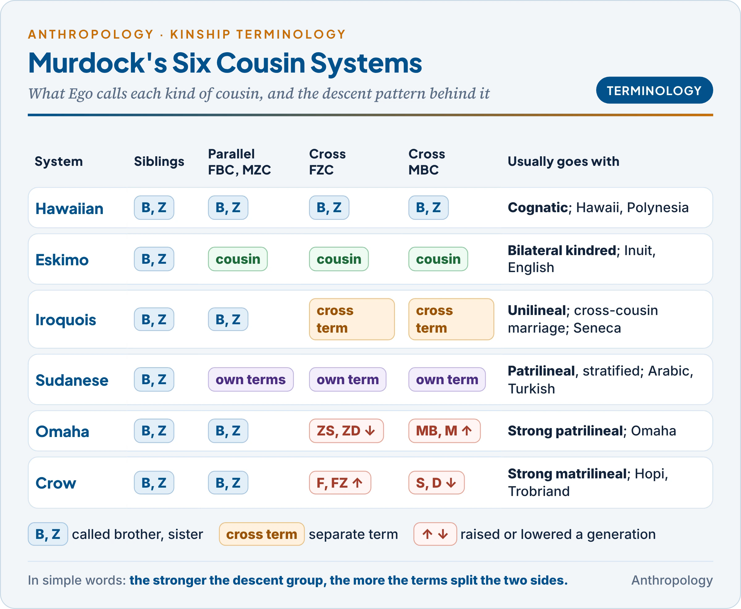 The six cousin terminologies set out as a grid: for each system, which terms Ego uses for siblings, parallel cousins and cross cousins, with the descent pattern each system usually accompanies