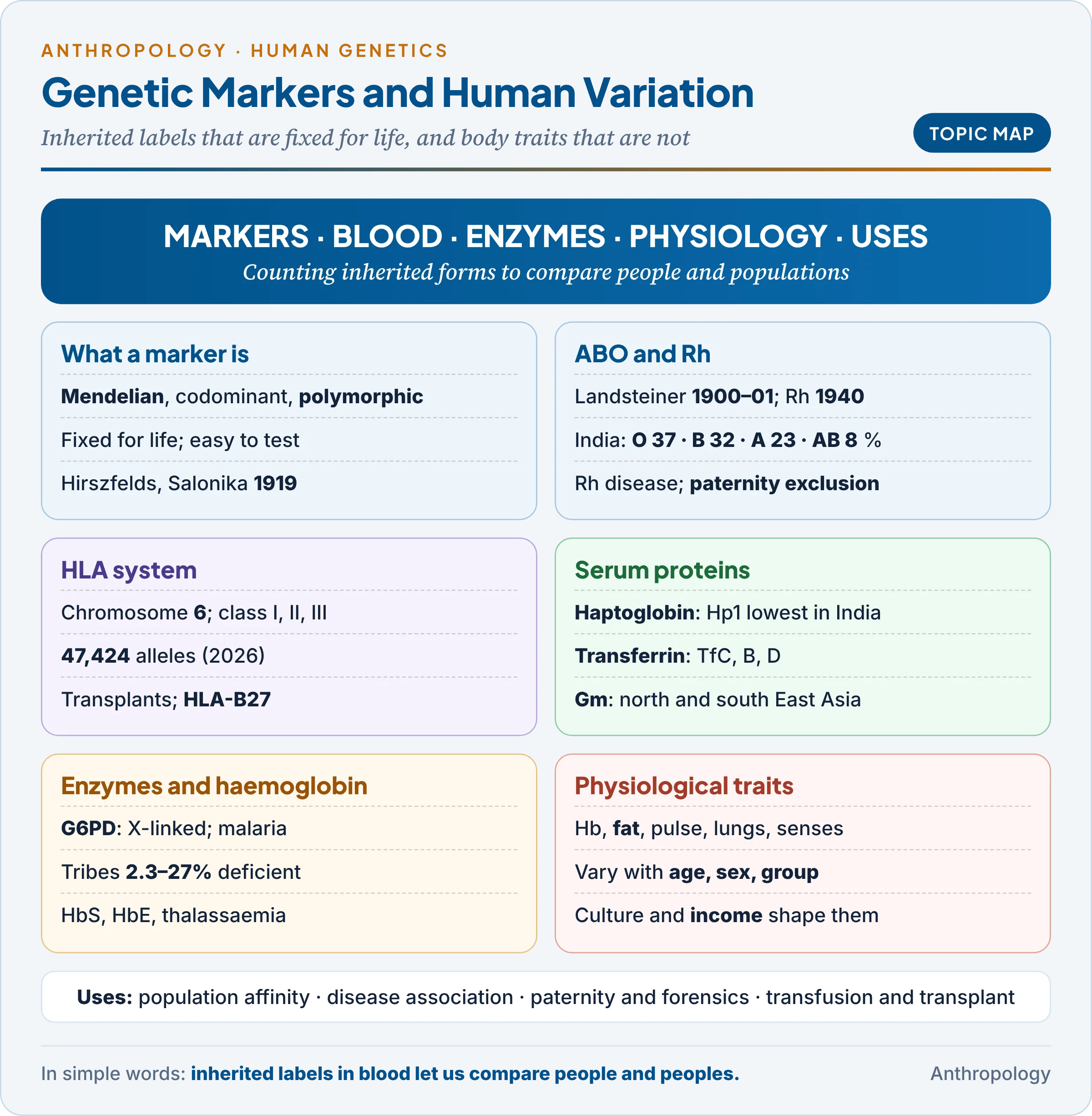 Topic map: what a genetic marker is; red cell antigens ABO and Rh; the HLA system; serum proteins haptoglobin, transferrin and Gm; red cell enzymes such as G6PD; physiological characteristics that vary with age, sex and social group; and the uses of markers in population affinity, disease association and forensics