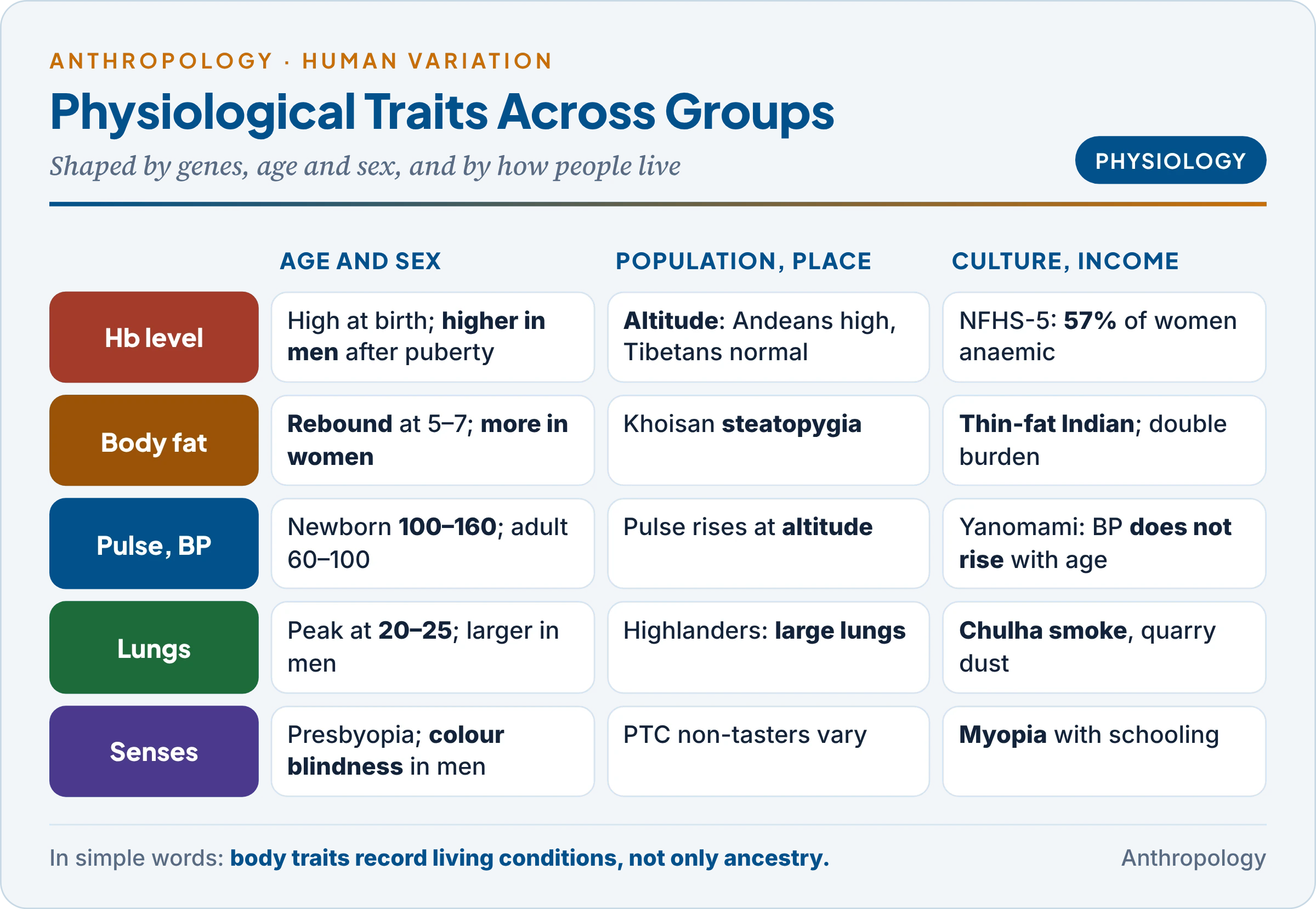 Physiological characteristics across age, sex, population and social group: haemoglobin, body fat, pulse and blood pressure, respiratory function and the senses, with Indian and world examples such as NFHS-5 anaemia, the thin-fat Indian baby, the Yanomami in INTERSALT and biomass smoke
