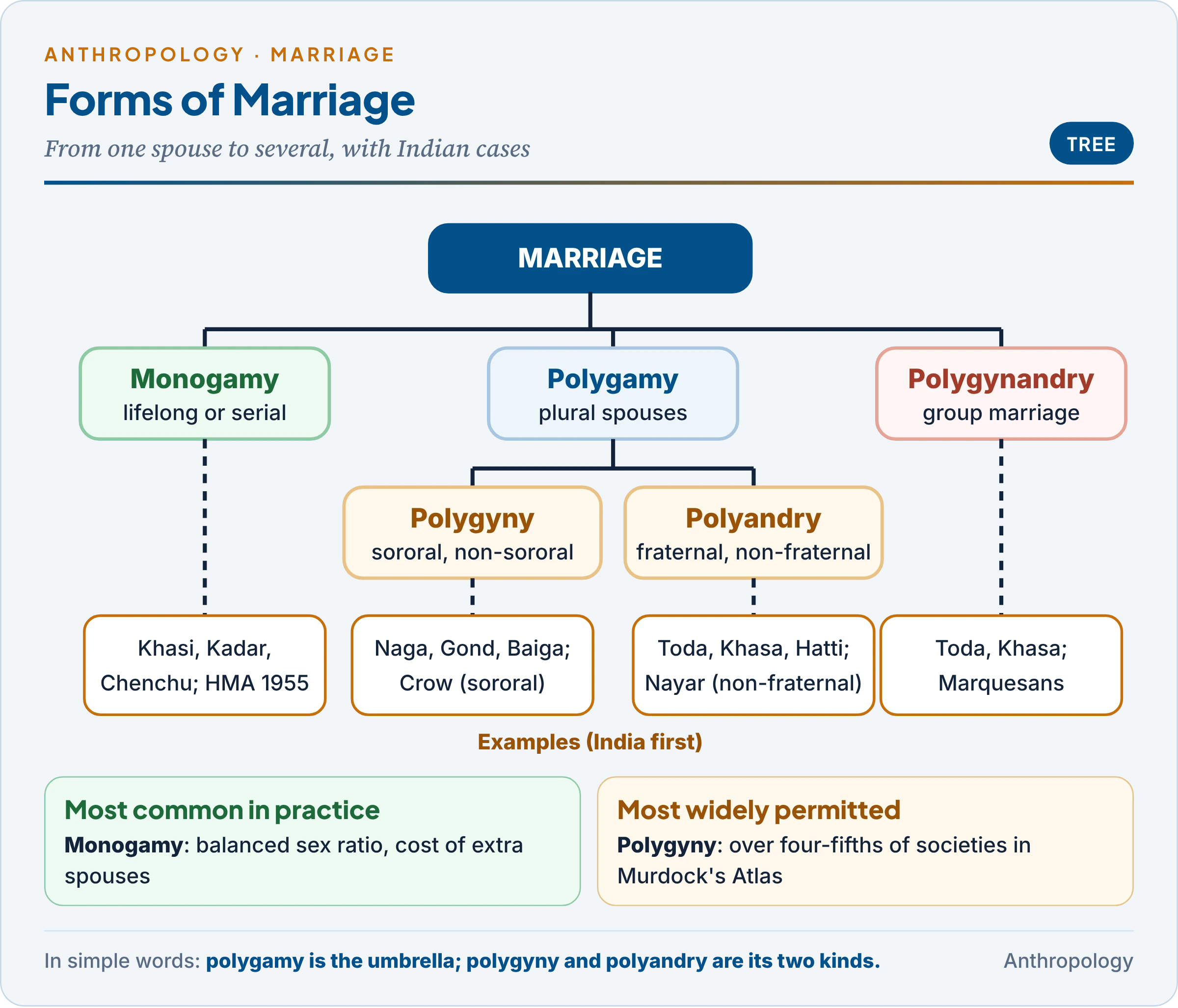 Forms of marriage as a tree: monogamy, lifelong or serial; polygamy dividing into polygyny, sororal or non-sororal, and polyandry, fraternal or non-fraternal; and polygynandry, with Indian examples