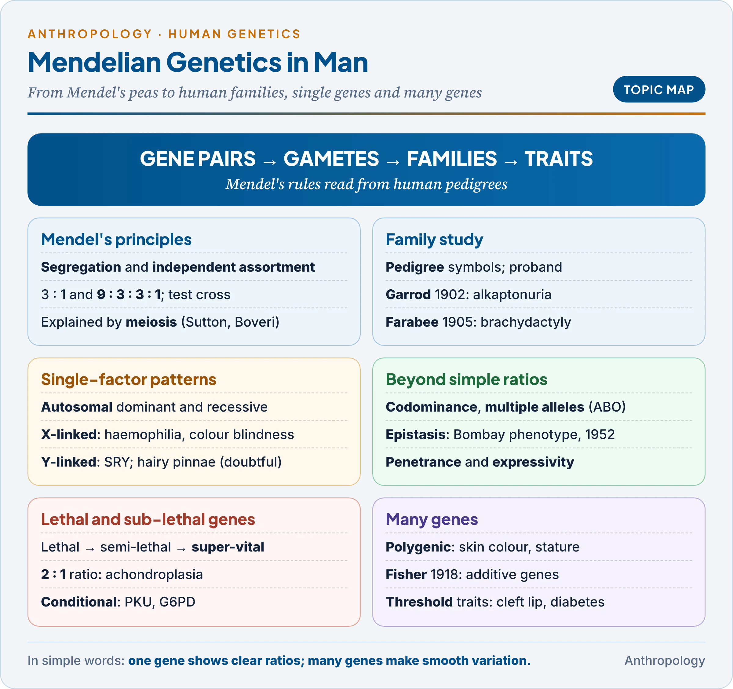 Topic map: Mendel's laws, family study and pedigrees, single-factor inheritance (autosomal, X-linked, Y-linked), deviations from Mendel, lethal and sub-lethal genes, and multifactor and polygenic inheritance