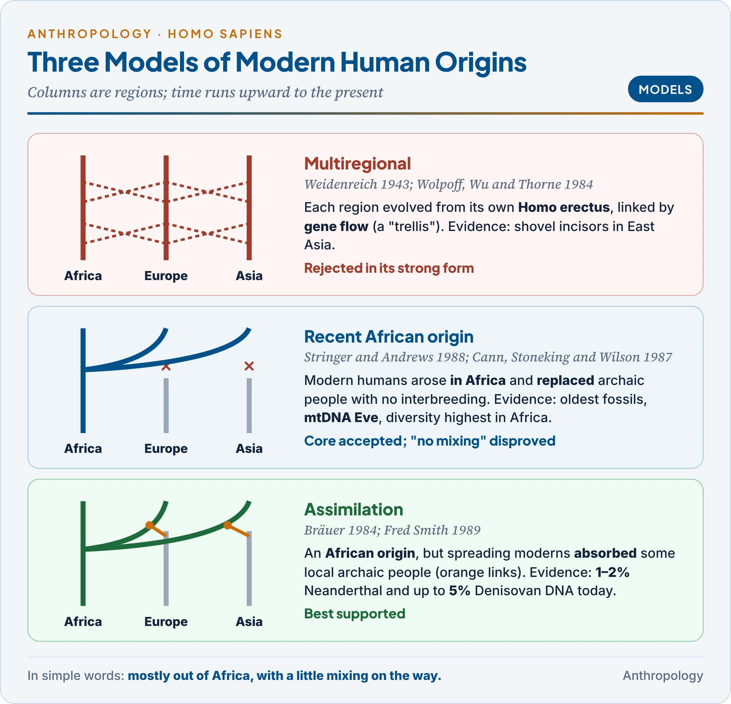 Three models of modern human origins: the multiregional trellis, recent African replacement and assimilation, with the genetic evidence that decided between them