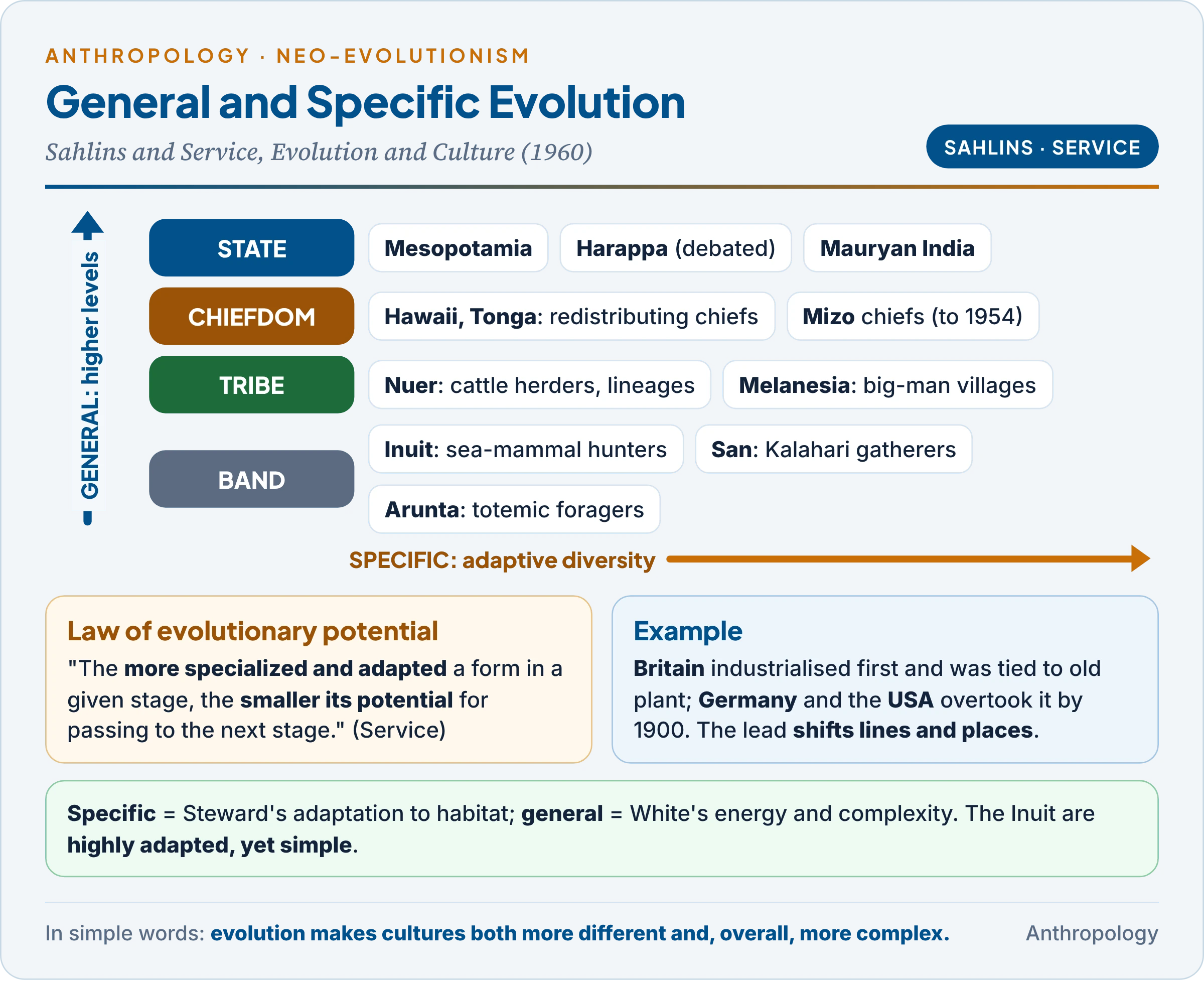 General and specific evolution as a branching tree, the law of evolutionary potential, and band, tribe, chiefdom and state
