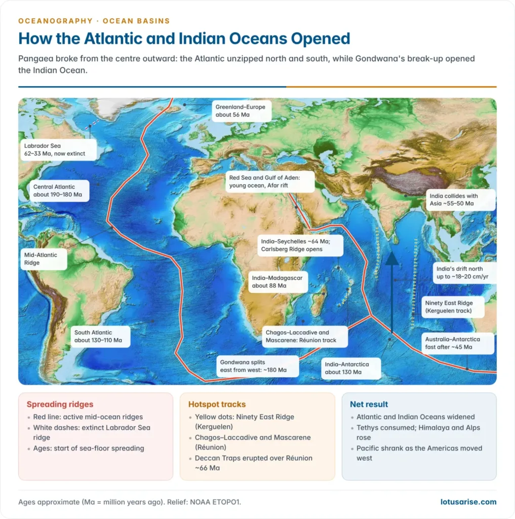 Relief map of the Atlantic and Indian Oceans with the spreading ridges, the main opening ages of each ocean segment, India's northward drift and the Ninety East and Chagos–Laccadive hotspot tracks
