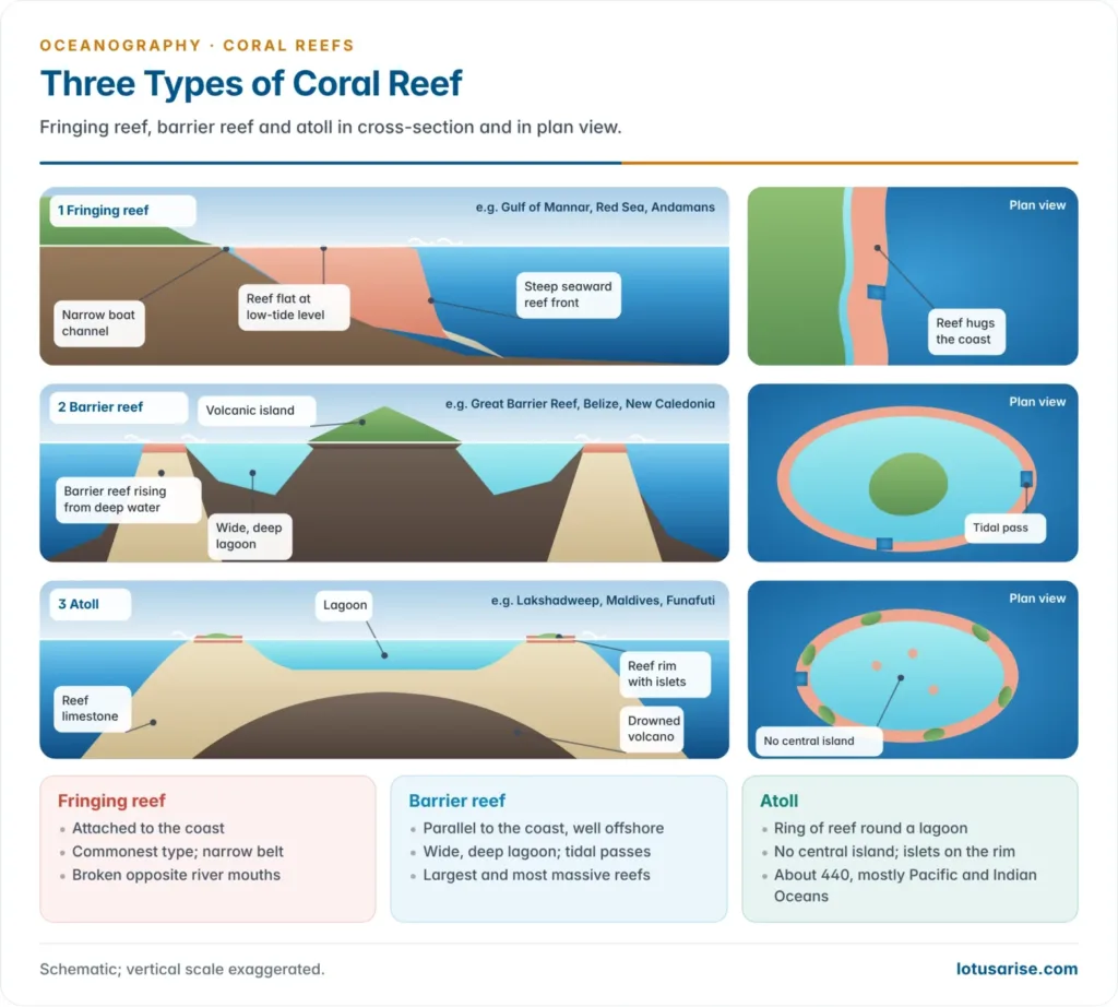 Cross-sections and plan views of a fringing reef attached to the shore, a barrier reef separated by a wide lagoon, and an atoll enclosing a lagoon on a sunken volcano