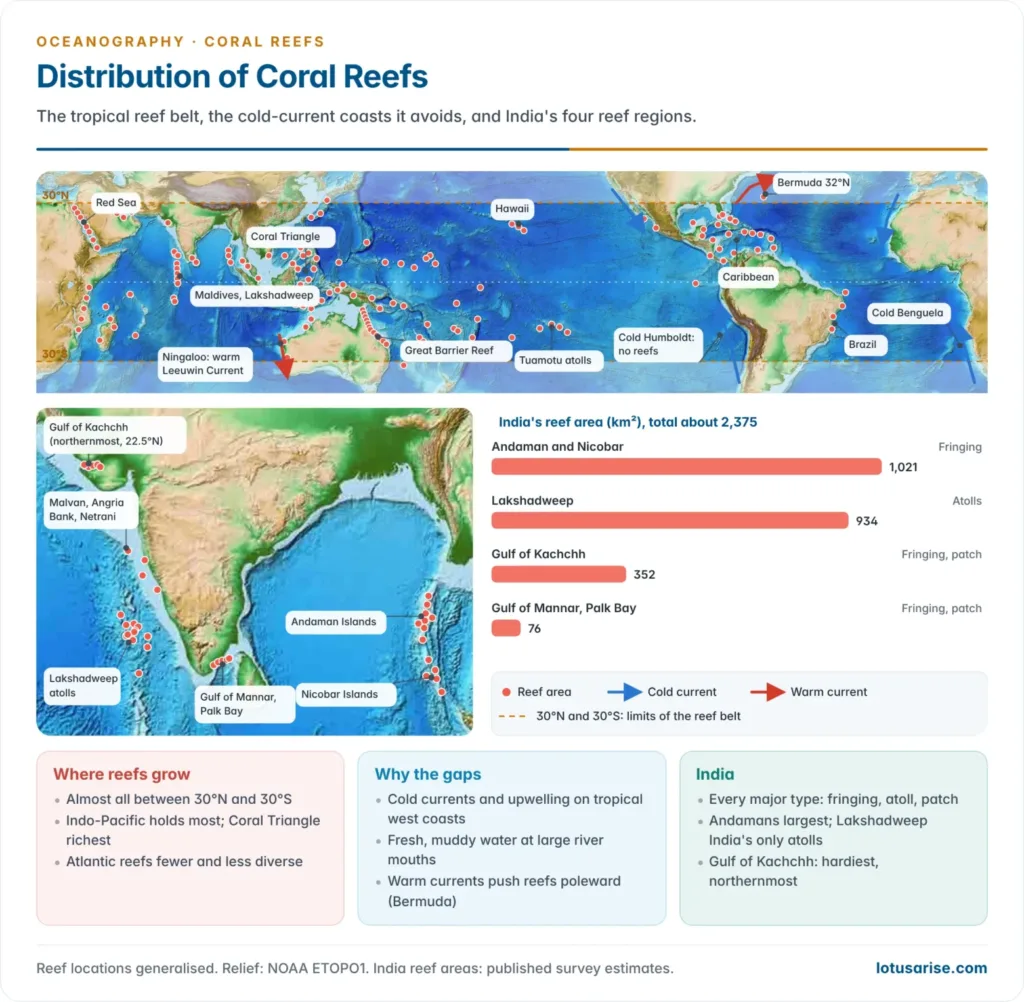 World relief map showing the coral reef belt between 30°N and 30°S, the main reef regions and cold-current coasts without reefs, with an inset of India's reef areas