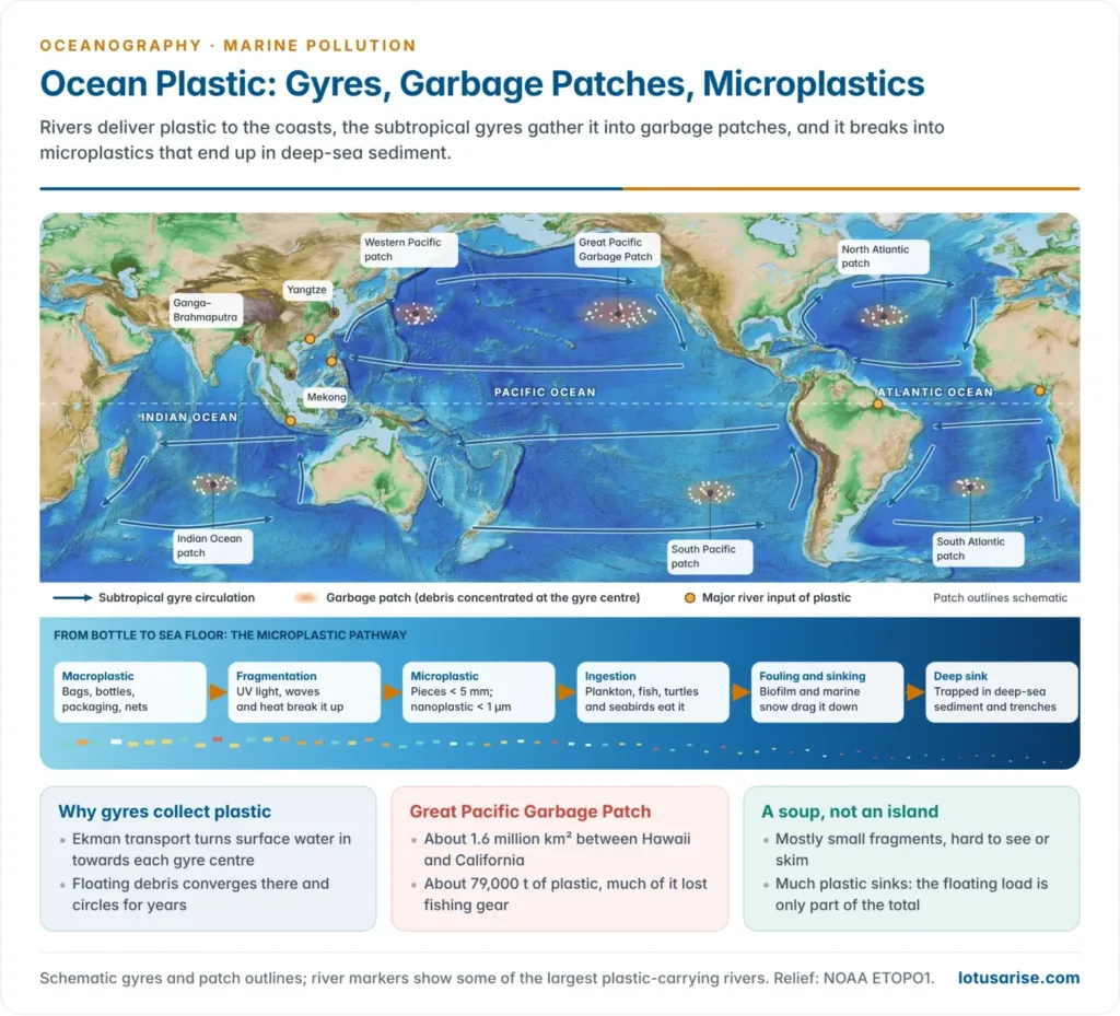 World relief map of the five subtropical gyres and their garbage patches, with the main river source regions, above a strip showing plastic breaking into microplastics, being eaten, fouled and sinking to deep-sea sediment
