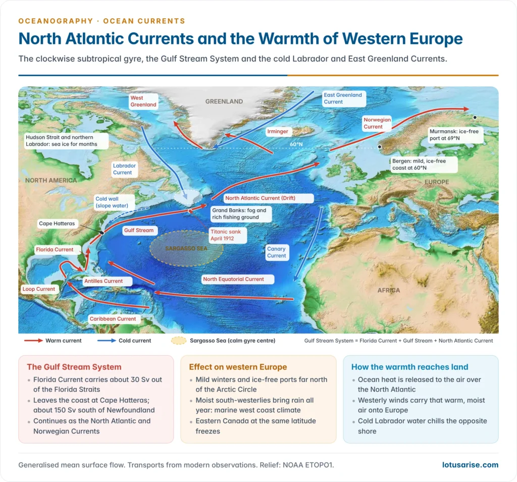 Map of the North Atlantic showing the Gulf Stream System, North Atlantic and Norwegian Currents, the cold Labrador, East Greenland and Canary Currents, the Sargasso Sea and the contrast between mild western Europe and frozen Labrador