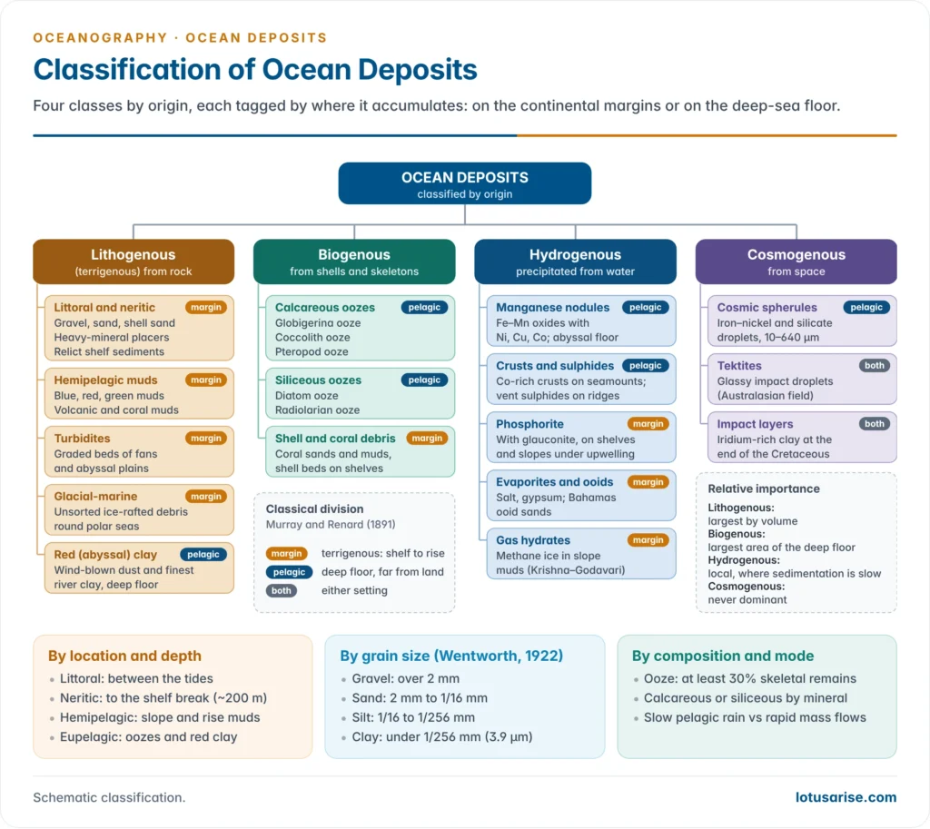Classification tree of ocean deposits by origin into lithogenous, biogenous, hydrogenous and cosmogenous types, with their sub-types and the classical terrigenous versus pelagic division