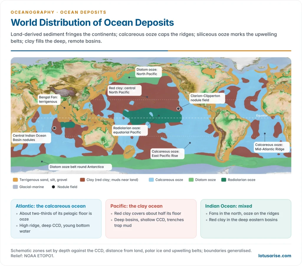 World map of the main sea-floor sediment types: terrigenous sediments along the margins and polar seas, calcareous ooze on the ridges, siliceous ooze round Antarctica, in the North Pacific and along the equatorial Pacific, and clay across the deep central Pacific and the deep basins