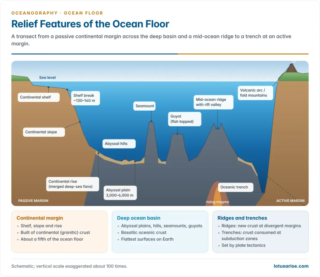 Ocean floor profile from a passive margin across the shelf, slope, rise, abyssal plain, seamount, guyot and mid-ocean ridge to a trench and volcanic arc at an active margin