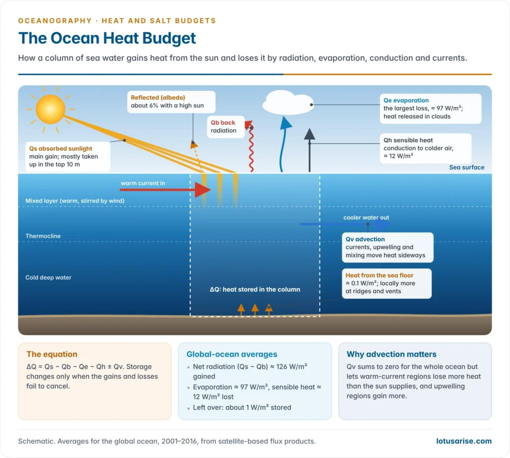 A column of ocean water showing absorbed sunlight as a gain, back radiation, evaporation and sensible heat as losses, advection by currents across the sides and the small flow of heat from the sea floor
