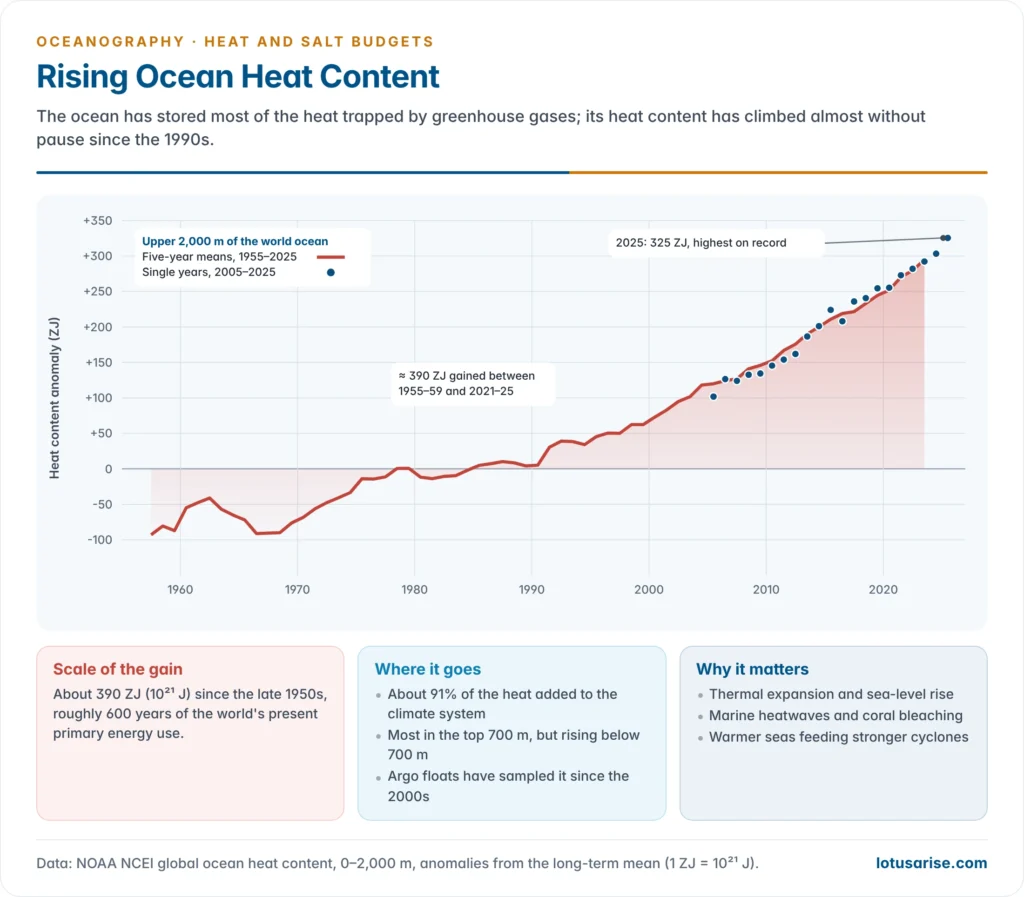 Rising heat content of the upper 2,000 metres of the world ocean from 1957 to 2025, from NOAA five-year and yearly estimates, reaching a new high in 2025