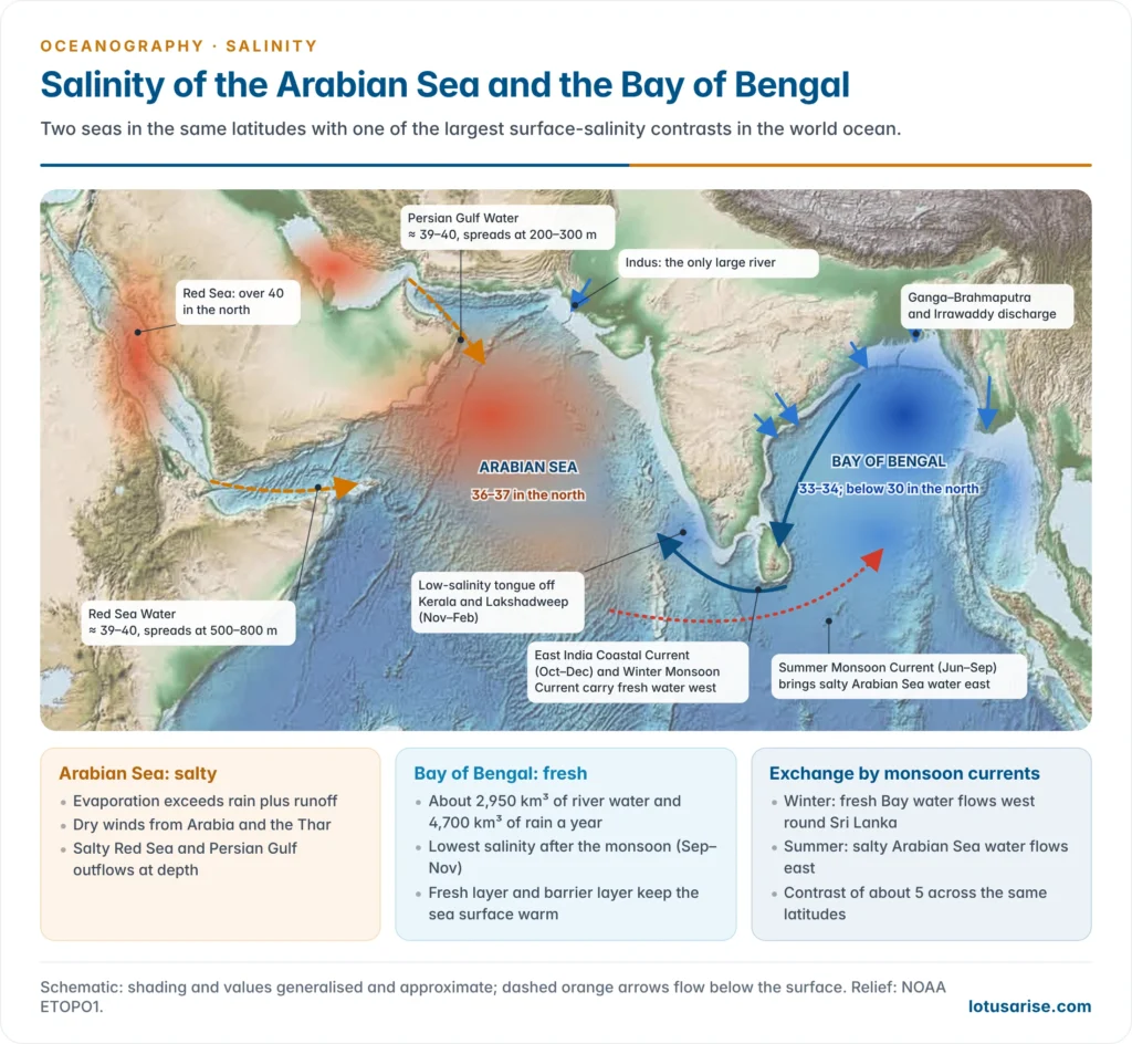 Relief map of the northern Indian Ocean contrasting the salty Arabian Sea with the fresh Bay of Bengal, with river inflows, Red Sea and Persian Gulf outflows, and the seasonal monsoon currents that exchange water round Sri Lanka