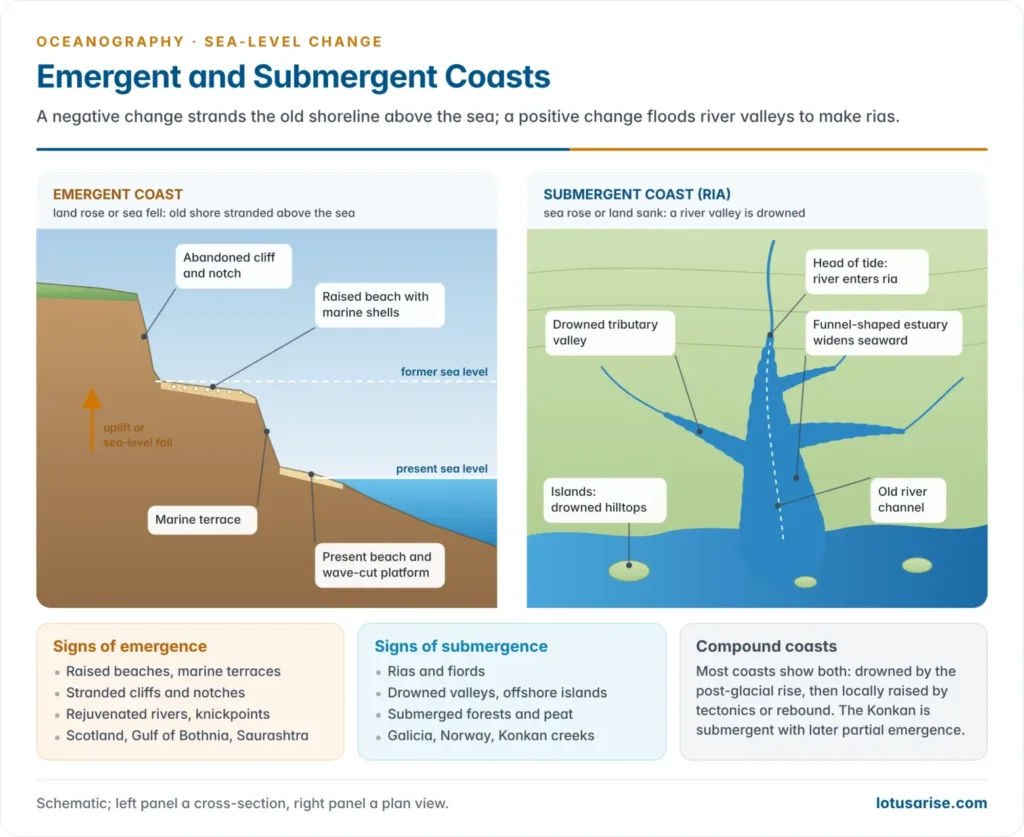 Comparison of an emergent coast with a raised beach, abandoned cliff and terrace above the present beach, and a submergent ria coast where the sea has flooded a branching river valley