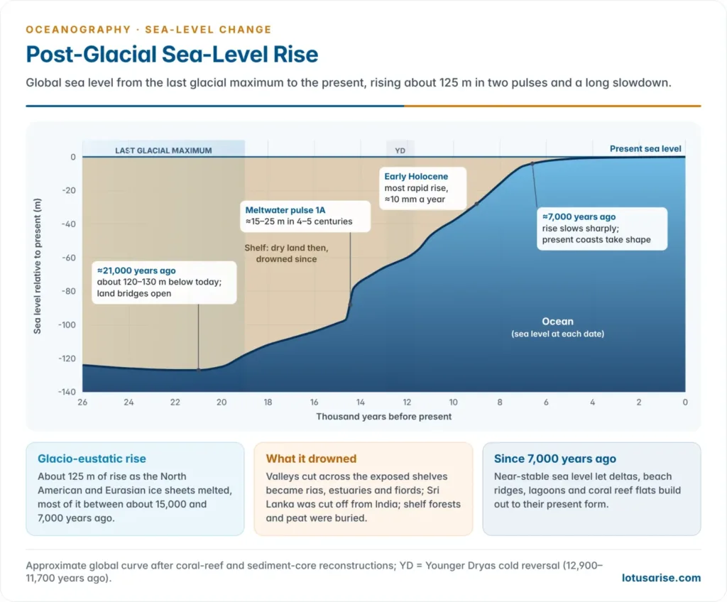 Curve of global sea level from about 125 m below present at the last glacial maximum 21,000 years ago to the present, showing meltwater pulse 1A and the slowdown after 7,000 years ago