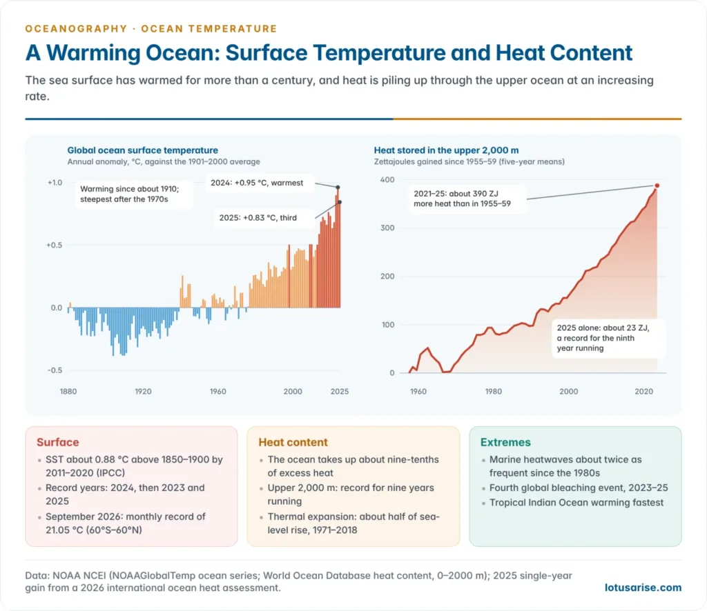 Two charts: annual global ocean surface temperature anomaly 1880–2025 from NOAA, with 2024 the warmest year, and the rise in upper 2,000 m ocean heat content since the late 1950s from NOAA NCEI
