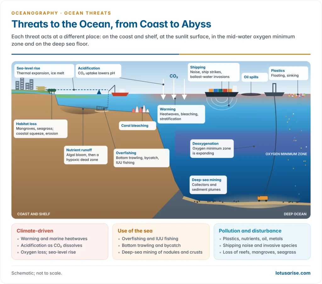 Cross-section from a coast to the deep sea showing where each threat acts: nutrient runoff and a dead zone on the shelf, mangrove and coral loss at the coast, warming and acidification at the surface, overfishing and bottom trawling, shipping noise and oil spills, the oxygen minimum zone at mid-depth, and a mining collector raising a sediment plume on the abyssal floor