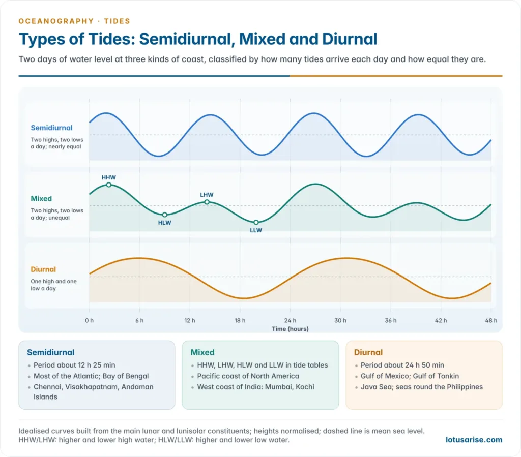 Tide curves over two days for a semidiurnal tide with two nearly equal highs and lows, a mixed tide with unequal highs and lows, and a diurnal tide with one high and one low, with example coasts for each