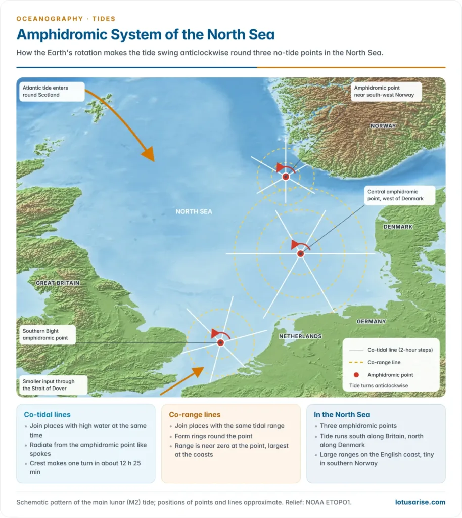North Sea map with three amphidromic points, co-tidal lines radiating from each and labelled in hours, and co-range lines circling them, showing the tide rotating anticlockwise with the largest ranges along the British and German coasts