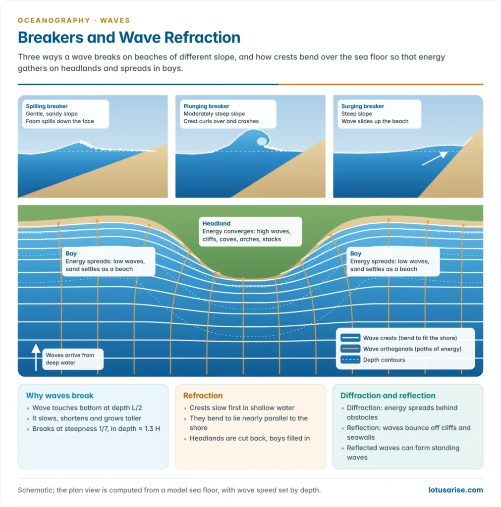 Profiles of spilling, plunging and surging breakers on gentle to steep beaches, and a plan view of wave crests bending over curved depth contours so that wave energy converges on a headland and spreads out in the neighbouring bay