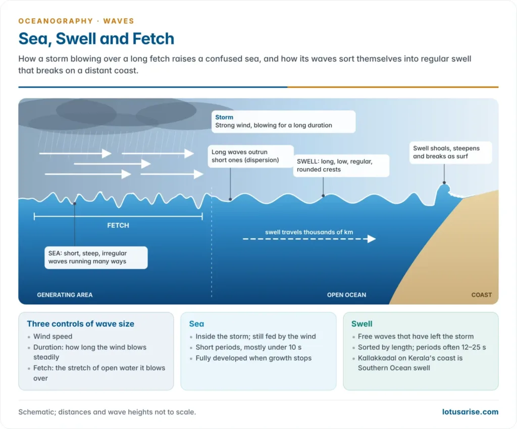 A storm blowing over a long fetch raises a confused, steep sea; beyond the storm the waves sort by wavelength into long, regular swell that crosses the ocean and breaks as surf on a distant coast