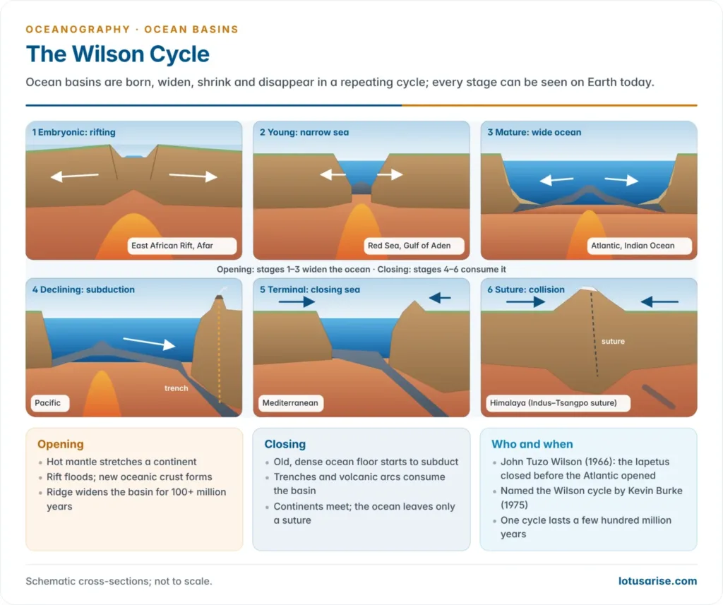 Six cross-sections of the Wilson cycle from continental rifting through a young sea, a mature ocean, a shrinking ocean with subduction and a closing remnant sea to continental collision and a mountain suture