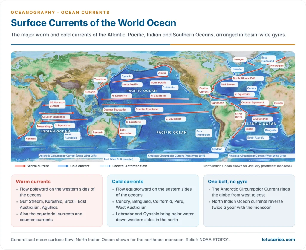 World map of surface ocean currents on a relief base, with warm currents in red and cold currents in blue in the Atlantic, Pacific, Indian and Southern Oceans