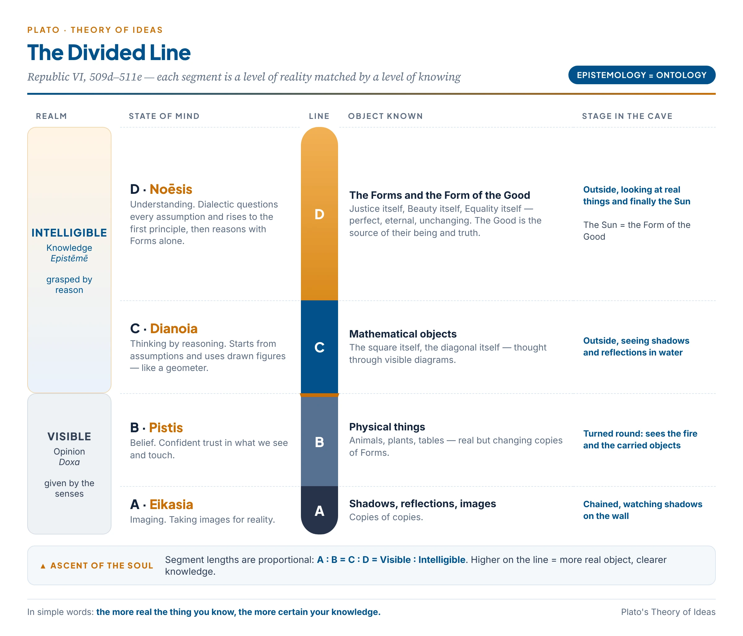 The Divided Line: four levels of reality matched with four levels of knowing, from shadows (Eikasia) to the Forms (Noēsis)