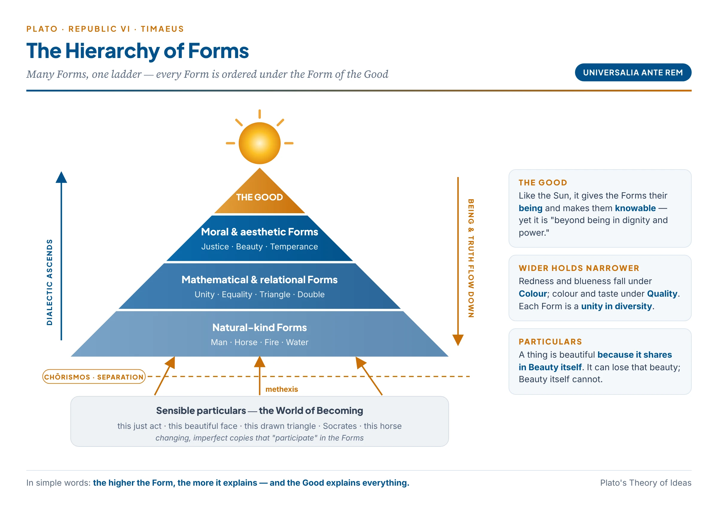 The Hierarchy of Forms: the Form of the Good at the top, then moral, mathematical and natural-kind Forms, with sensible particulars below