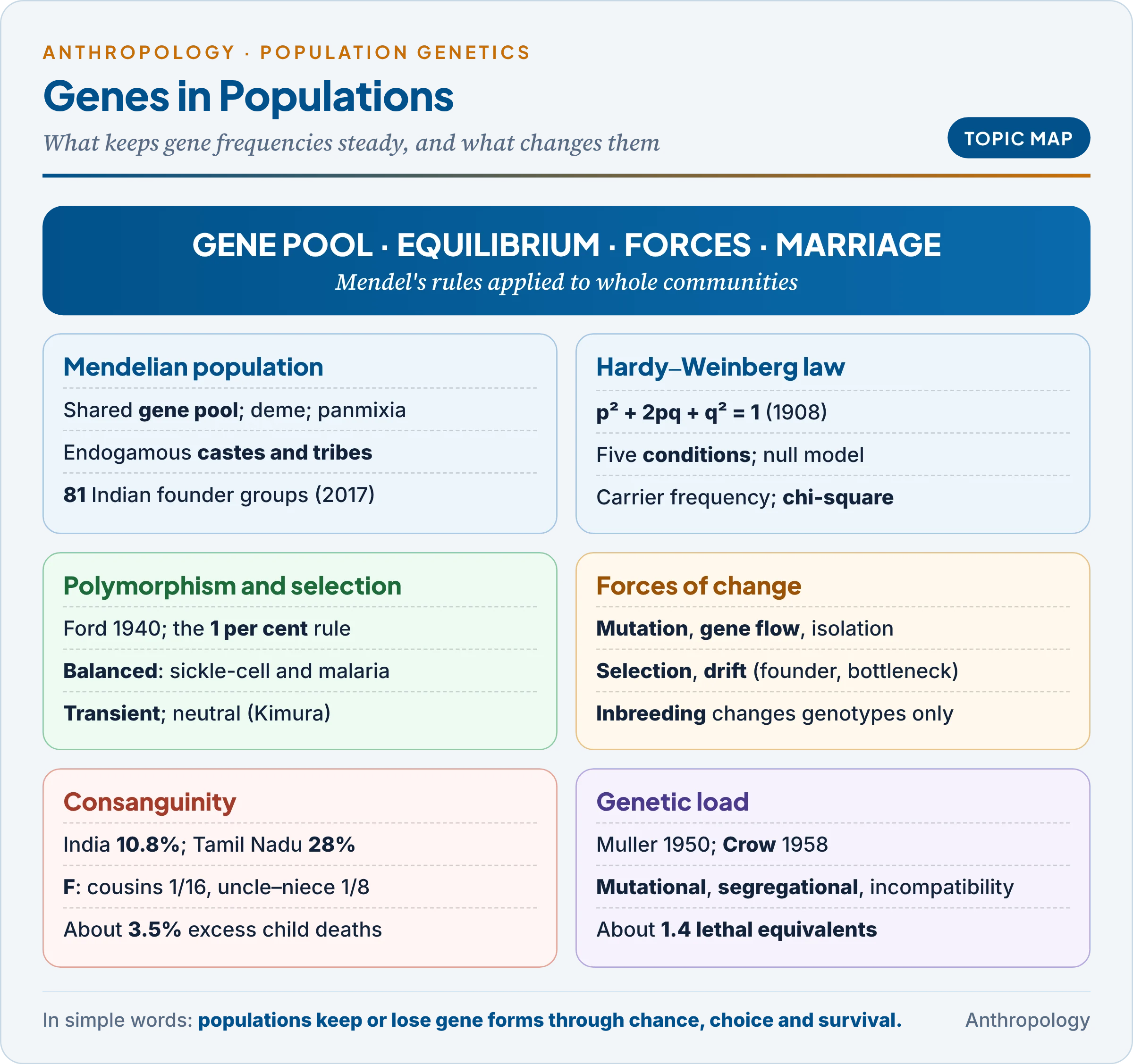 Topic map: the Mendelian population and gene pool, the Hardy-Weinberg law as the baseline, genetic polymorphism and selection, the forces that change gene frequency, consanguineous mating and the coefficient of inbreeding, and genetic load