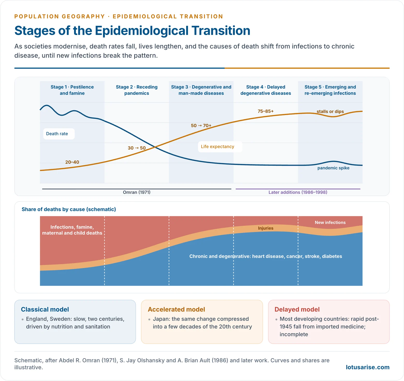 Schematic curves through the five stages of the epidemiological transition showing the death rate falling and life expectancy rising, with the share of deaths from infectious diseases shrinking and from degenerative diseases growing, and a late-stage rise of emerging infections