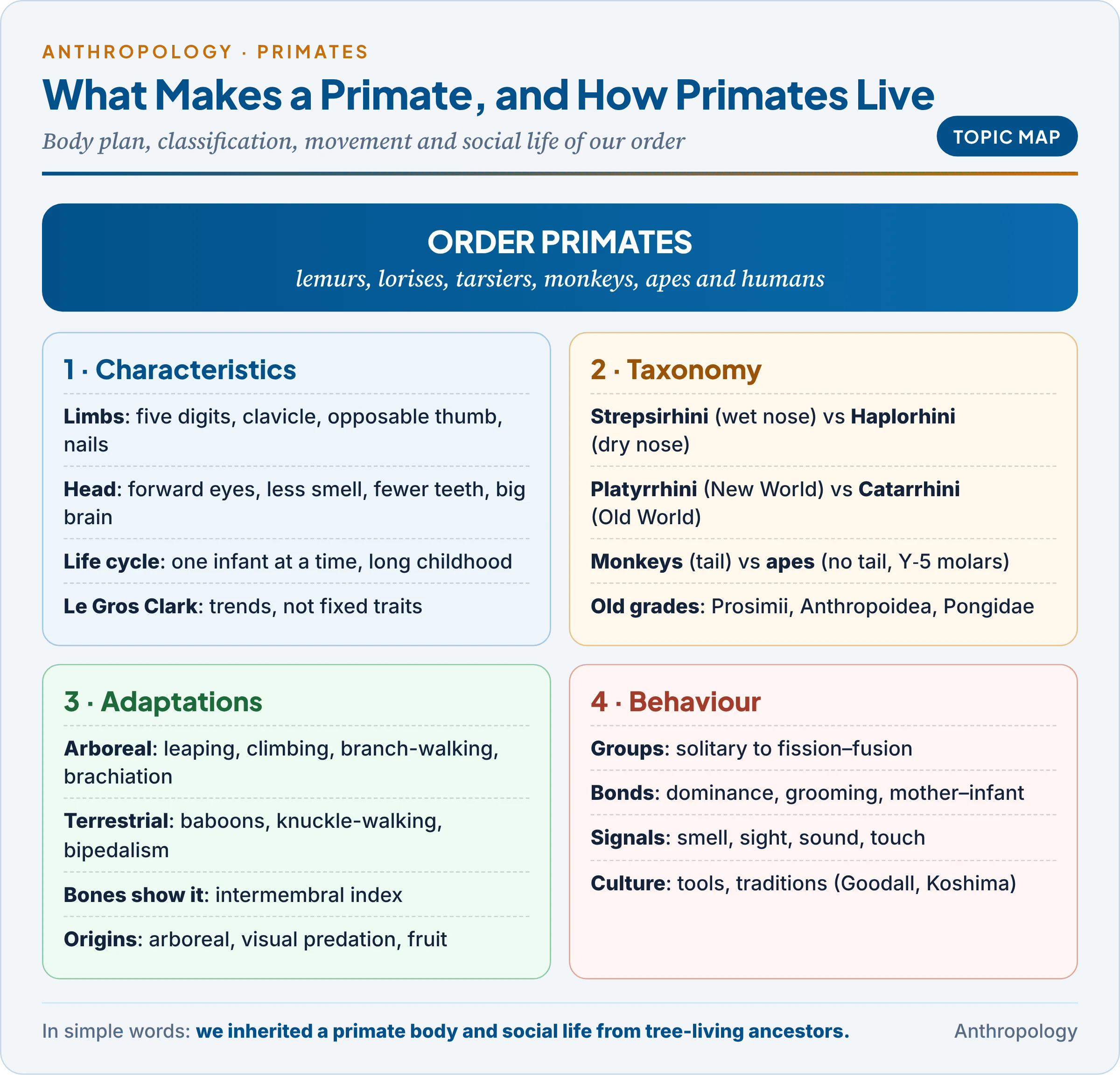 Topic map: what makes a primate, how primates are classified, how they adapted to trees and ground, and how they live in groups