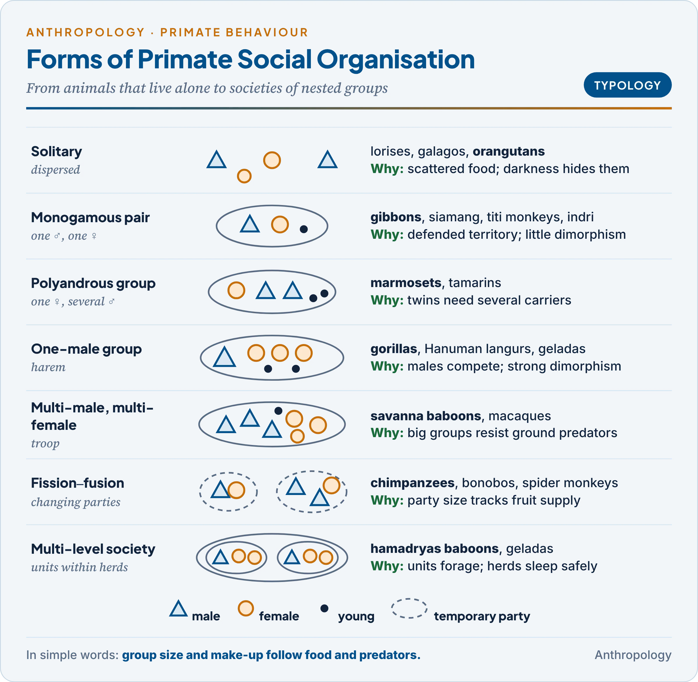 Seven forms of primate social organisation, from solitary to multi-level society, with examples and the ecology behind each