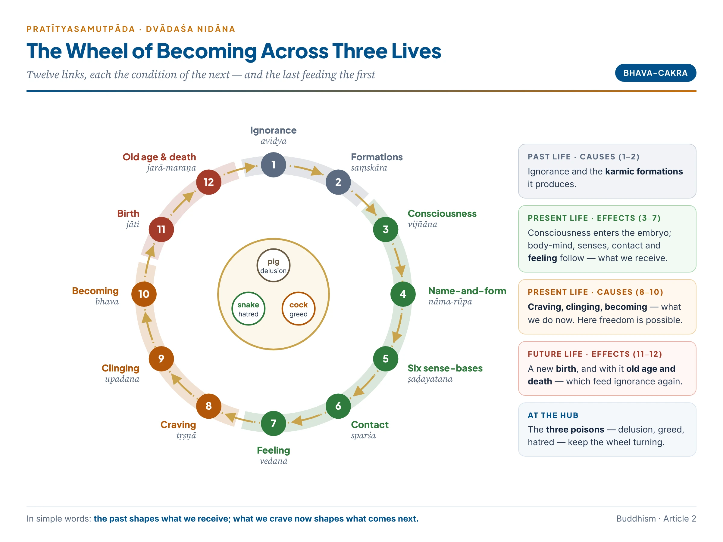 The wheel of becoming (Bhavacakra): the twelve links of dependent origination arranged around a wheel and grouped into past causes, present effects, present causes and future effects across three lives