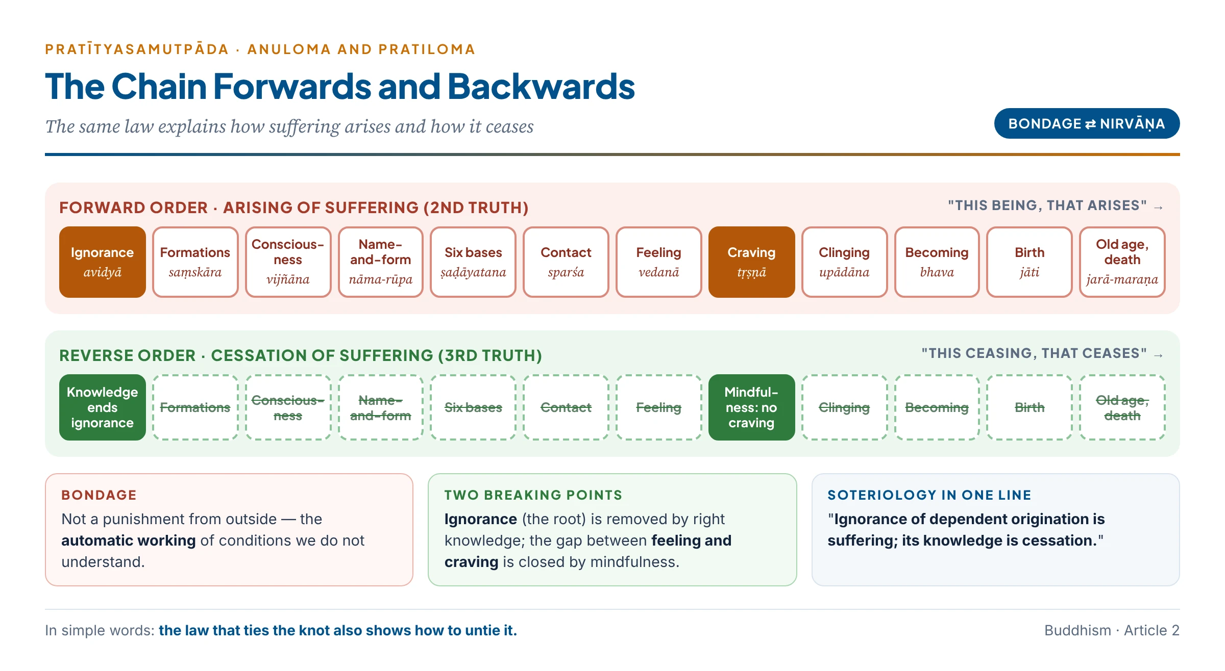 Forward and reverse order of dependent origination: read forwards, ignorance leads link by link to old age and death (the arising of suffering); read in reverse, the cessation of ignorance switches off each link in turn (nirvāṇa) — with the two breaking points at ignorance and between feeling and craving