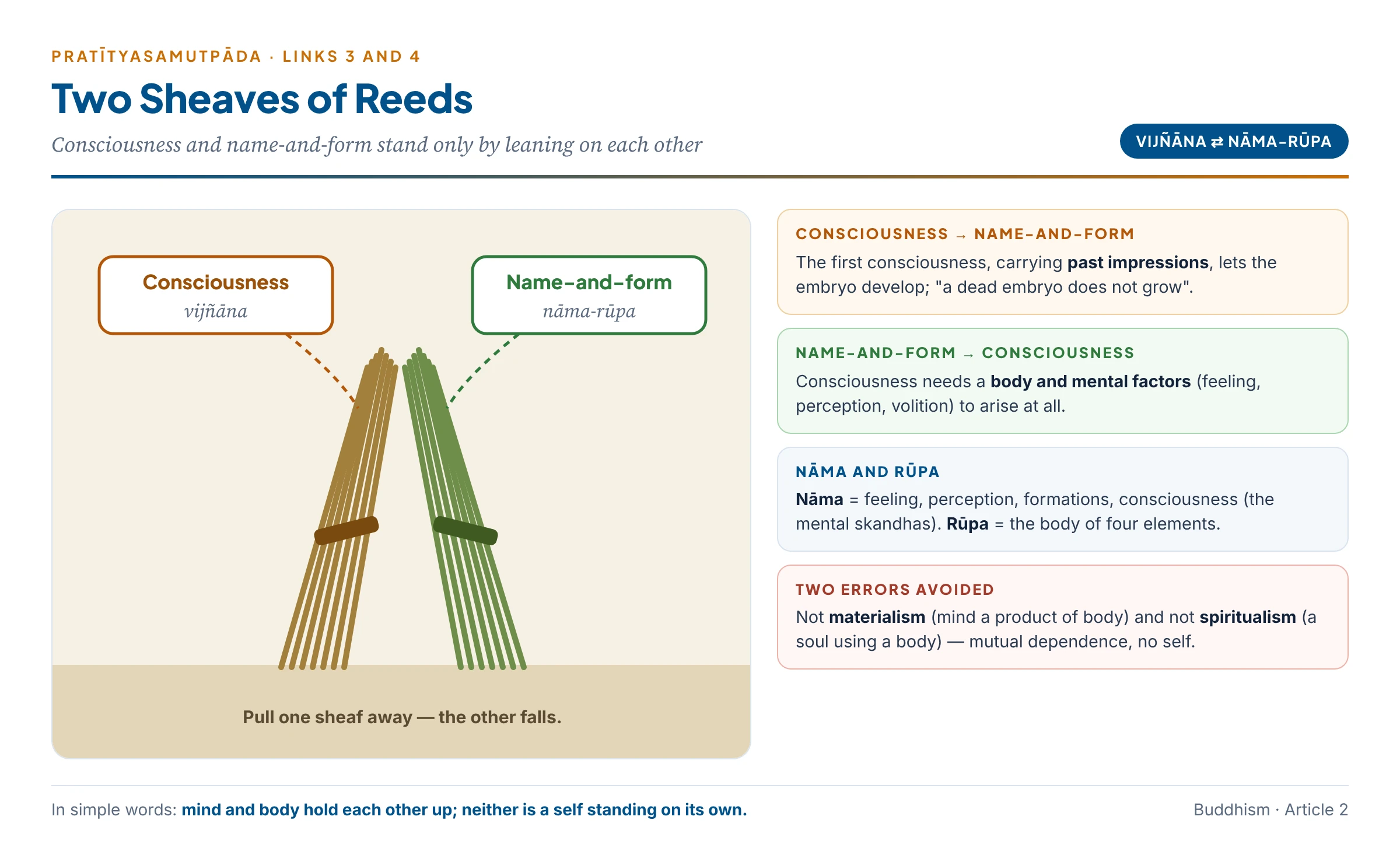 Two sheaves of reeds leaning on each other: consciousness (vijñāna) and name-and-form (nāma-rūpa) stand only by supporting one another — pull one away and the other falls; neither mind nor body is an independent self