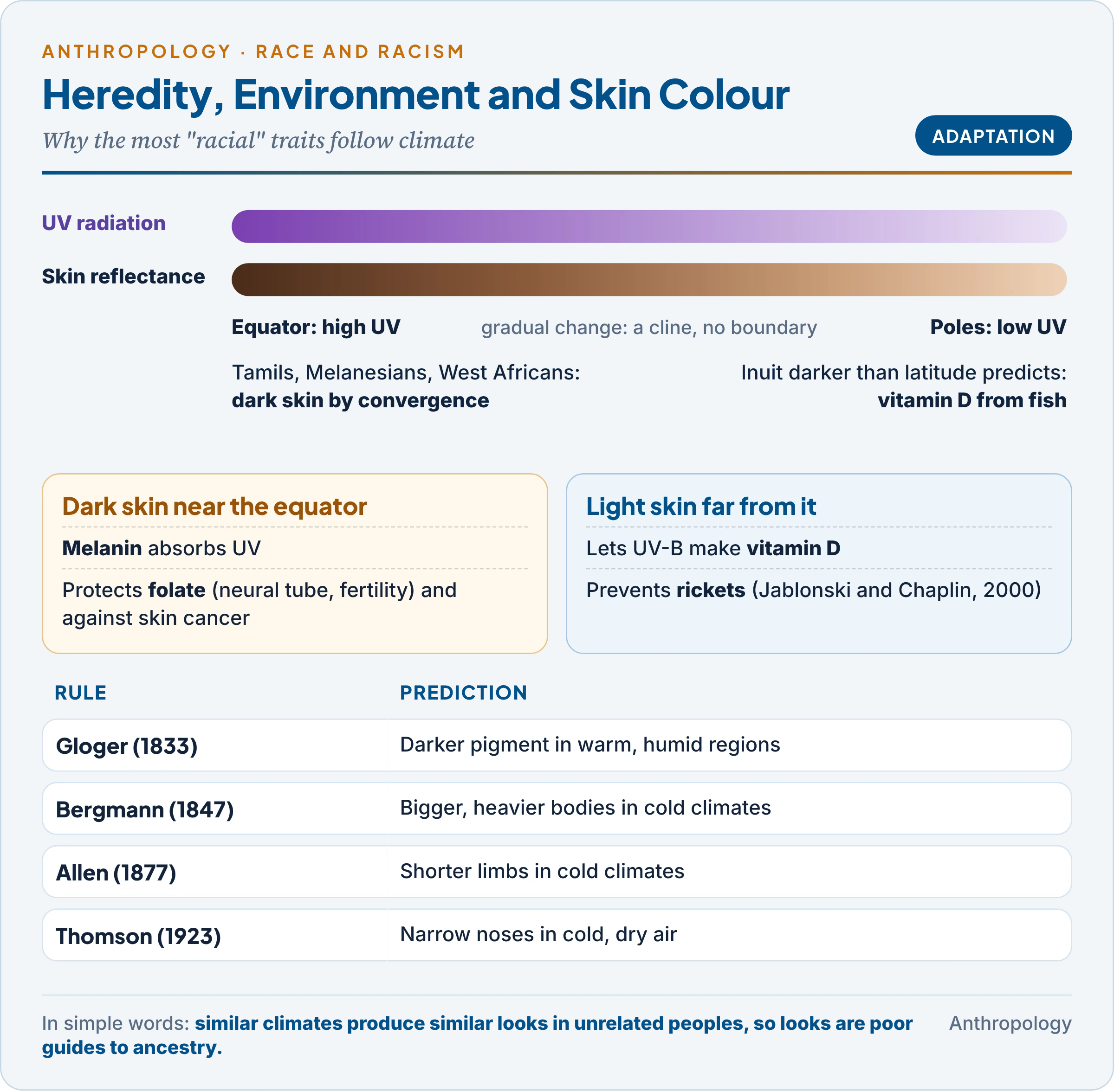 Skin colour and climate: ultraviolet intensity from the equator to the poles, the folate-protection and vitamin-D pressures, Gloger's rule, and the related rules of Bergmann, Allen and Thomson for body and nose form