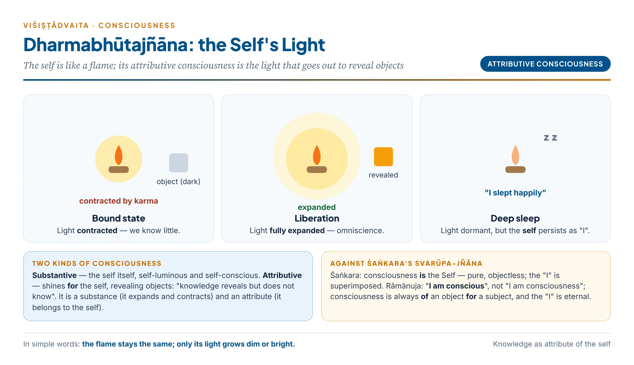 Dharmabhūtajñāna: the self as a flame and its attributive consciousness as light that reaches out to objects, contracts under karma, and expands fully in liberation