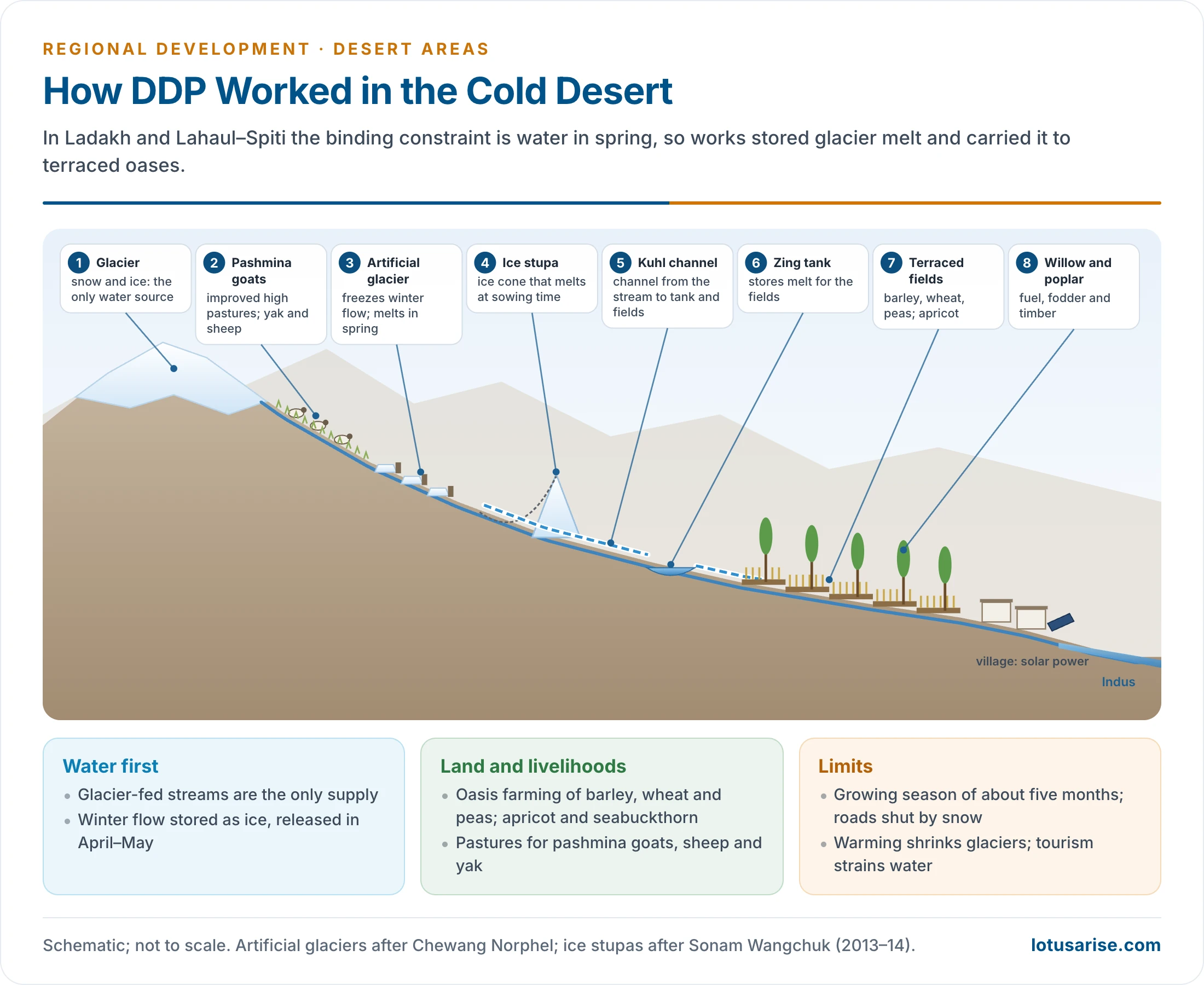 Schematic of a Ladakhi cold-desert valley showing a glacier-fed stream, an artificial glacier and an ice stupa storing winter water, a kuhl channel and zing tank feeding terraced barley fields, willow and poplar plantations, and pastures for pashmina goats