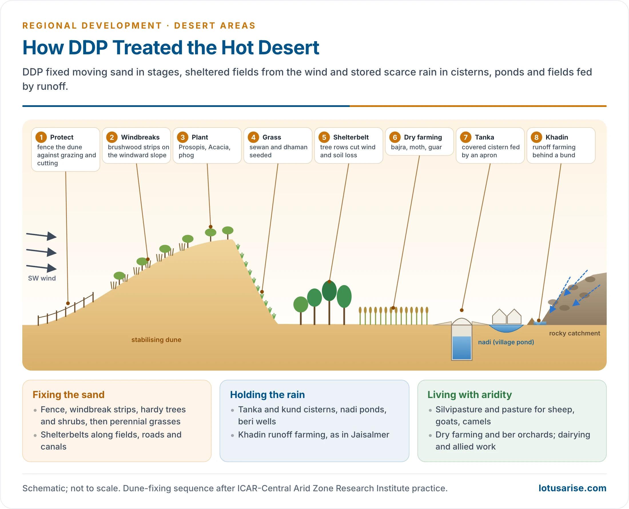Cross-section of a Thar desert landscape showing the sequence of sand dune stabilisation with fencing, brushwood micro-windbreaks, tree and shrub planting and grass seeding, a shelterbelt protecting fields, and water harvesting through a tanka, a khadin and a village nadi